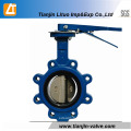 Valve papillon corps en fonte ductile avec tige Ss304